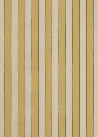 JACQUELINE STRIPE - Gold