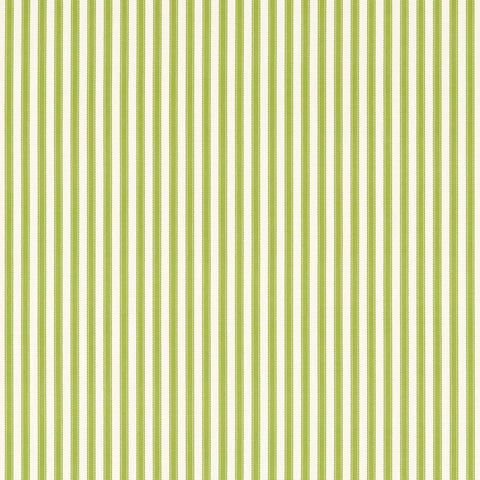 PINETUM STRIPE - Sap Green