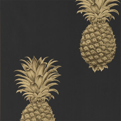 PINEAPPLE ROYALE  -  Graphite/Gold