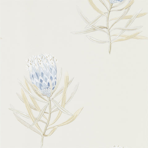 PROTEA FLOWER  -  China Blue/Canvas