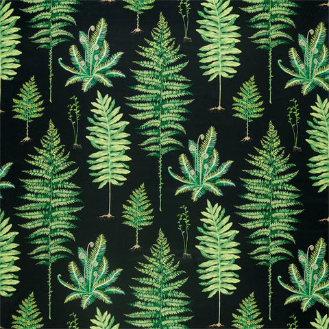 FERNERY  -  Botanical Green/Charcoal