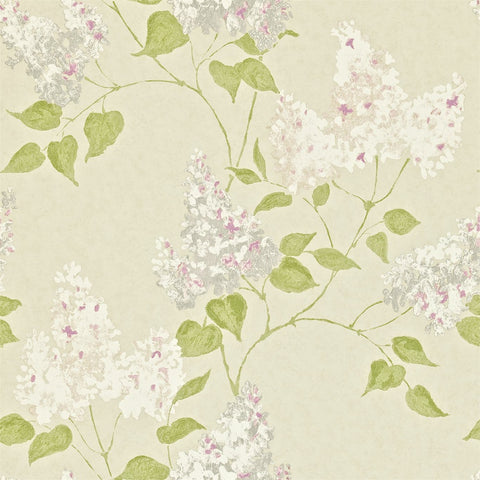 LILACS  -  Linen/Lilac