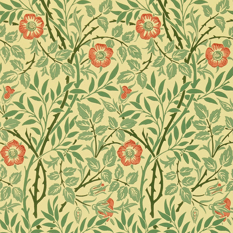 SWEET BRIAR  -  Green/Blue/Rose