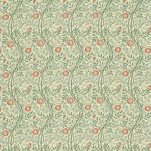 SWEET BRIAR  -  Green/Coral