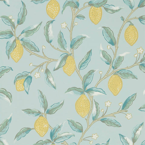 LEMON TREE  -  Wedgewood