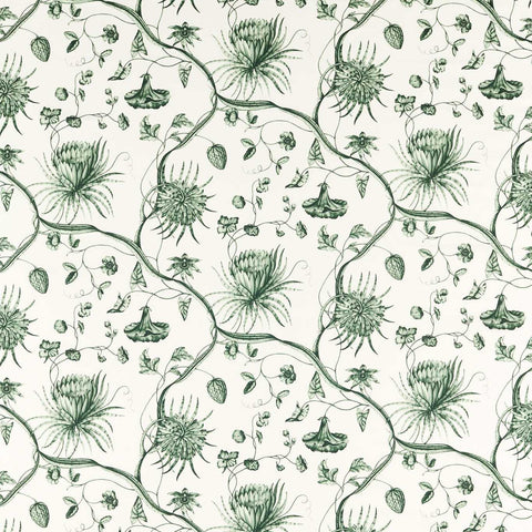 PHAEDRA TOILE - Huntsmans Green