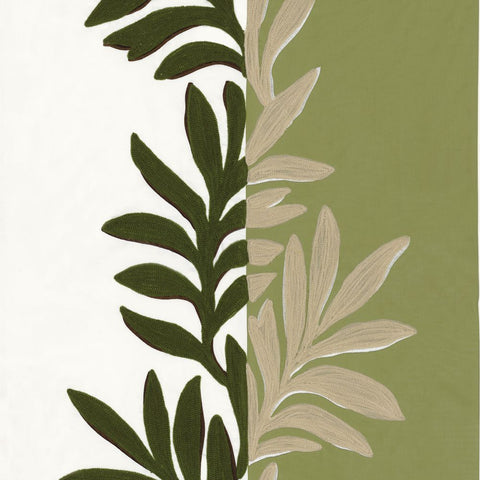 SOPHORA - Blanc / Olive